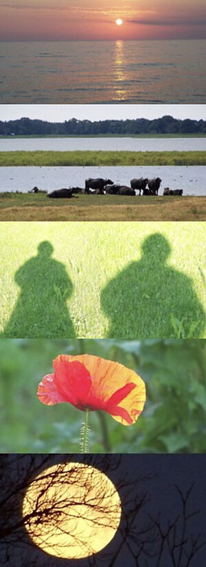 Csm 3F853082 1D08 4DB8 A9E9 5C00AC0E4157 19f65a50b0