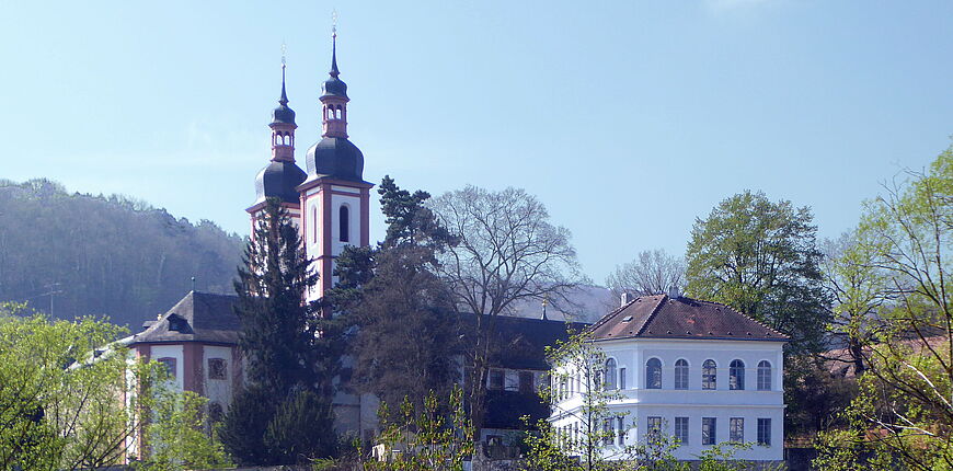 Klosterkirche St. Michael und Kloster Oberzell von Norden
